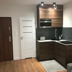 Platinex 2 Kraków